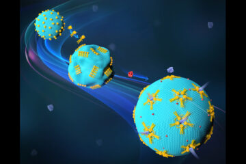 DNA Origami-Strukturen steuern biologische Membranen für gezielte Medikamentenabgabe